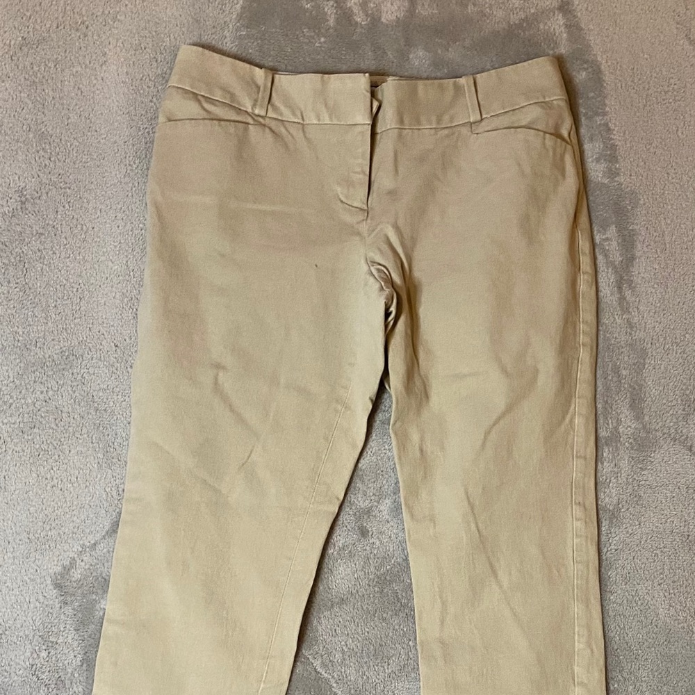 The Limited dressy pants